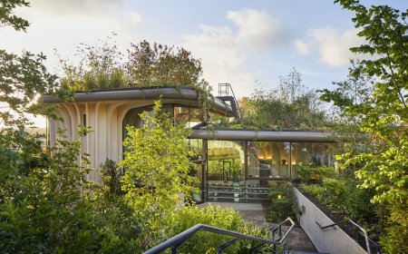 تحول سبز در طراحی بیمارستان‌ها: معماری به عنوان راهی برای ارتقاء سلامت