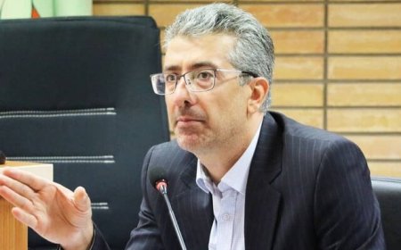 اولویت‌دهی به توانمندسازی شهرداری‌ها در زمینه‌های مالی و فناورانه در فارس