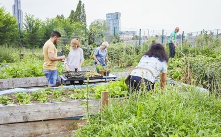 توسعه از محله آغاز می‌شود؛ روایت چهار شهر از اقتصاد سبز محلی