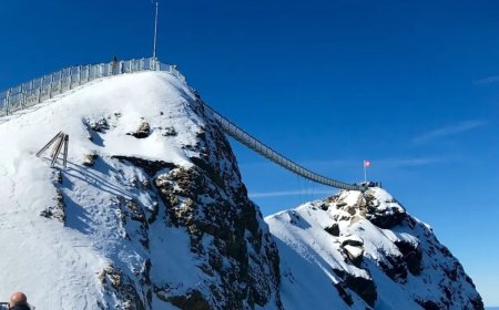 شگفت‌انگیزترین پل‌های معلق عابرپیاده جهان