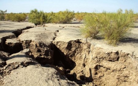 فرونشست زمین در فارس به ۱۵ درصد رسید؛ هشدار بحران جدی