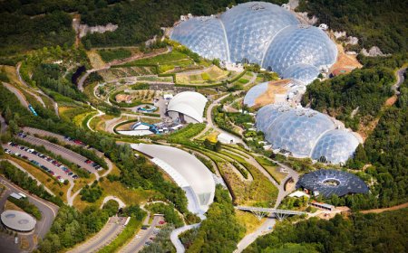 کپی‌کار خلاق یا معمار آینده؟