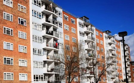 ارزیابی جهانی طرح‌های دولتی مسکن استیجاری