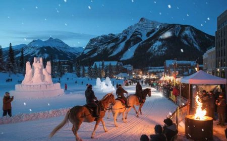 طراحی شهری در خدمت زمستان