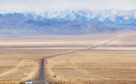 بزرگ‌ترین شبکه‌های جاده‌ای جهان