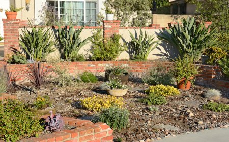 لس‌آنجلس در مسیر نجات از خشکسالی با چشم‌اندازهای هوشمند به آب