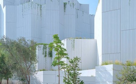 افتتاح موزه تاریخ طبیعی ابوظبی: سفر به عمق ۱۳.۸ میلیارد سال تاریخ