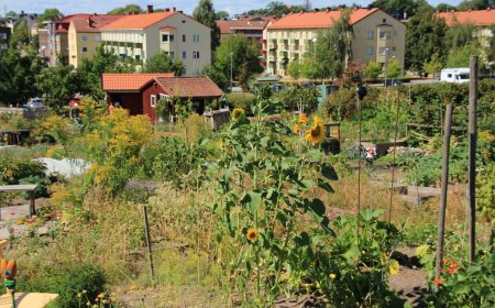 شهرهای خوراکی؛ تحول انقلابی یا پروژه‌ای پرچالش؟﻿