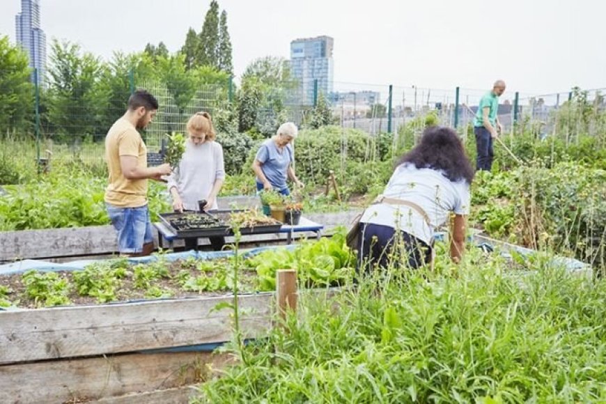 توسعه از محله آغاز می‌شود؛ روایت چهار شهر از اقتصاد سبز محلی