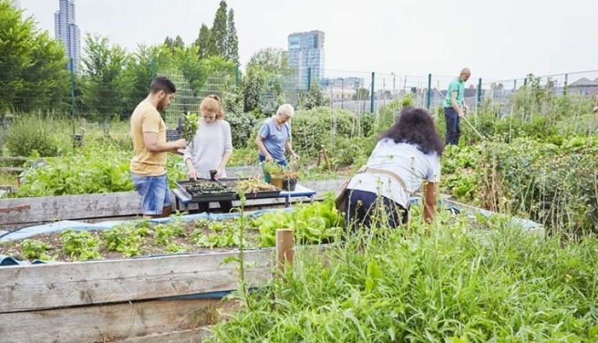 توسعه از محله آغاز می‌شود؛ روایت چهار شهر از اقتصاد سبز محلی