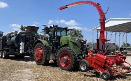 پسماند شهری چگونه به ناجی اقلیم تبدیل می‌شود