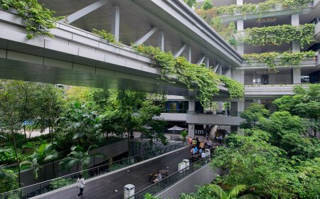 آشتی سیاست‌گذاری طراحی شهری با سلامت مردم