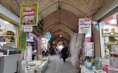 رئیس میراث فرهنگی: ملایر قابلیت پیوستن و ثبت در مجمع شهرهای تاریخی را دارد