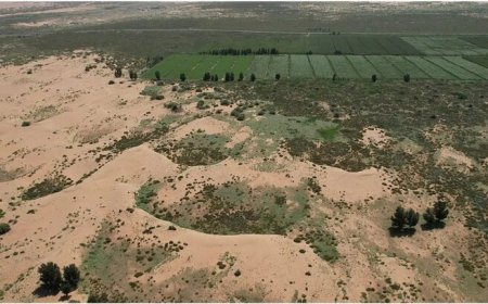 دیوار سبز چین