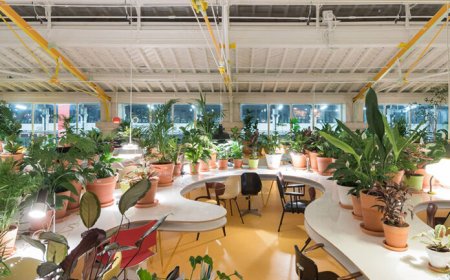 گسترش طراحی بیوفیلیک در فضاهای شهری سال ۲۰۲۶