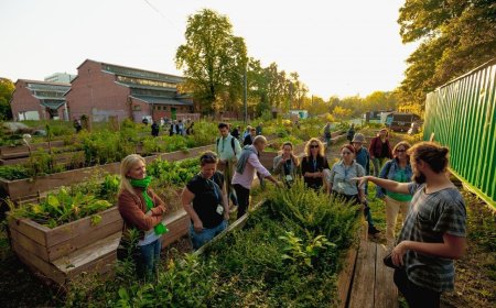 انقلاب سبز از دل خرابه‌ها