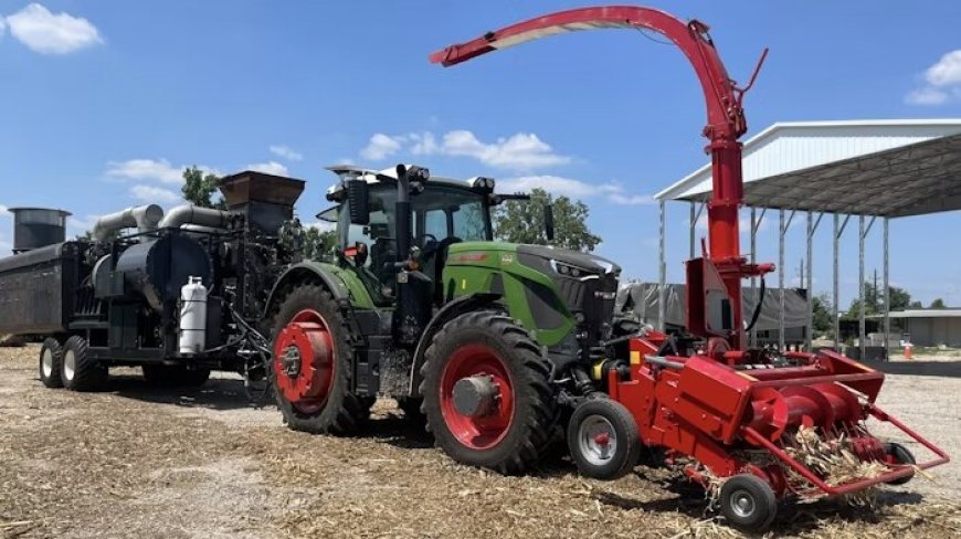 پسماند شهری چگونه به ناجی اقلیم تبدیل می‌شود