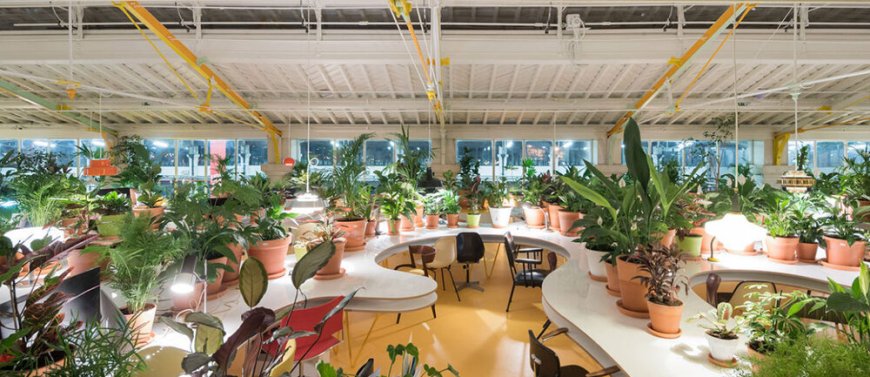 گسترش طراحی بیوفیلیک در فضاهای شهری سال ۲۰۲۶