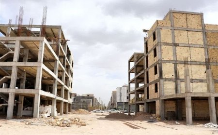 نمایندگان مجلس مخالف حذف ماده ۵۰ برنامه هفتم توسعه هستند