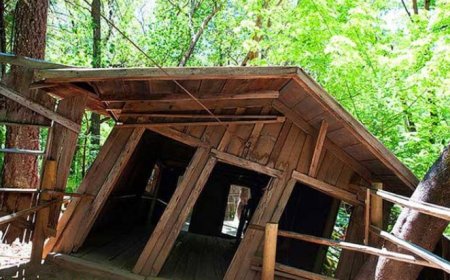 خانه ای اسرارآمیز که در آن قوانین فیزیک بی معناست