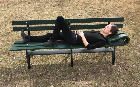 معماری همدلانه در فضای شهری؛ از پل های حیات وحش تا مبلمان شهری حامی