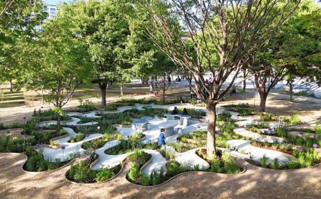 پارک‌های شهری نوین؛ هم‌نشینی فناوری، طبیعت و اجتماع