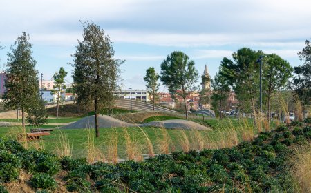 پارک‌ها ناجی شهرهای امروز