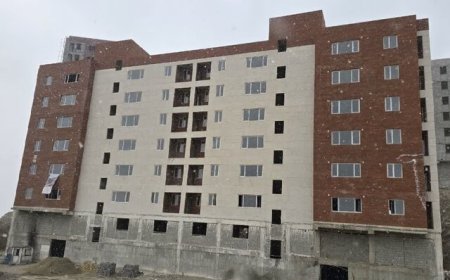 الحاق ۲۵۰ هکتار زمین به سوسنگرد برای اجرای طرح جوانی جمعیت