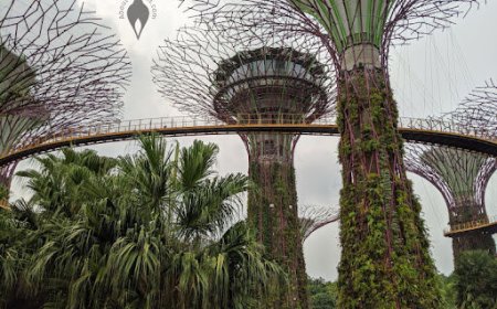 سنگاپور پیشگام جهان در استفاده از درختان مصنوعی در خیابان‌ها