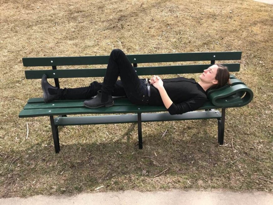 معماری همدلانه در فضای شهری؛ از پل های حیات وحش تا مبلمان شهری حامی