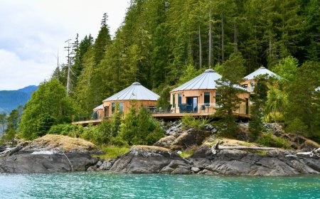 چرا معماری بومی دوباره محبوب شد؟