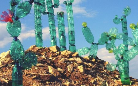 مجسمه‌سازی با مواد بازیافتی؛ هنری پایدار و نجات‌بخش محیط زیست