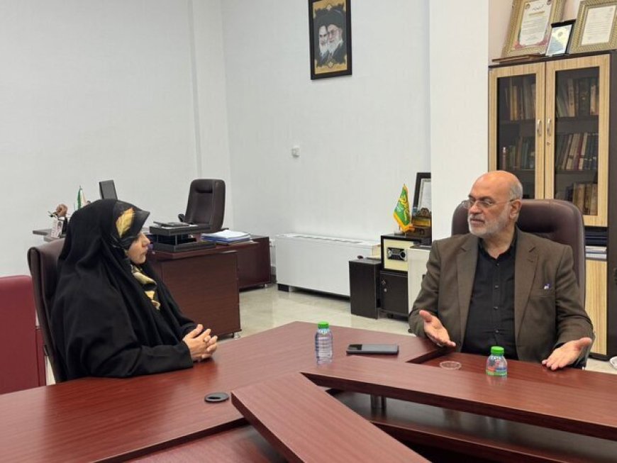 حجم آسفالت‌ریزی شیراز چند برابر سال گذشته است