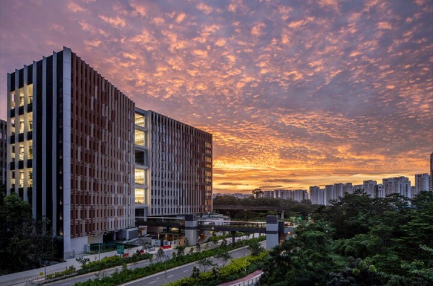 تحقق شهر هوشمند نسل دوم با عبور از فناوری‌ به انسان‌محوری